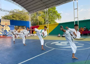 artes marciales