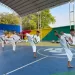 artes marciales