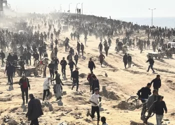 Gaza