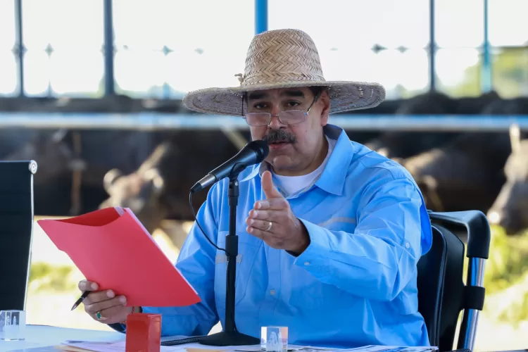 crecimiento agrícola