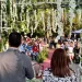 Bodas Colectivas
