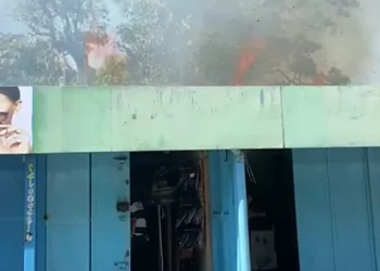 mercado