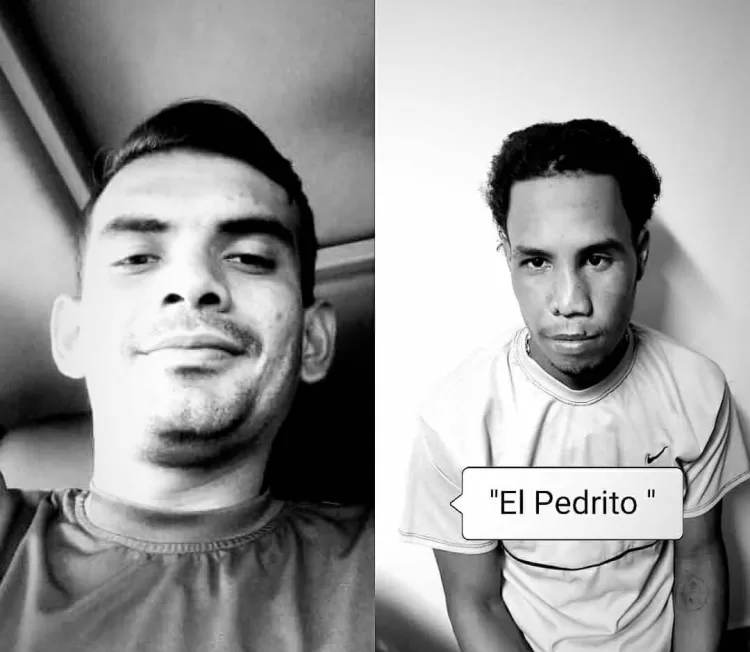 abatidos