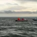 migrantes