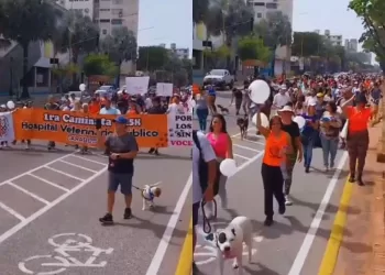 Caminata Por Los Sin Voces