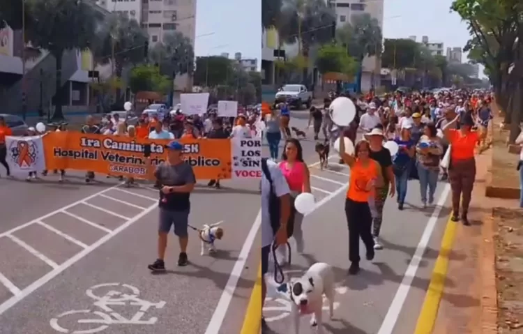 Caminata Por Los Sin Voces