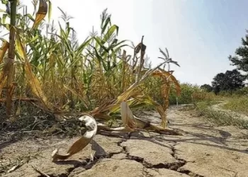El Niño