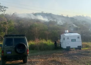 Cerro El Café incendios forestales