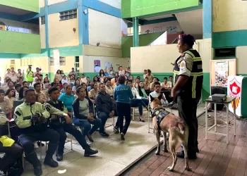 consumo de drogas