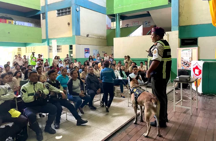 consumo de drogas