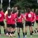 Vinotinto Femenina