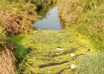 Falta canalización de caño