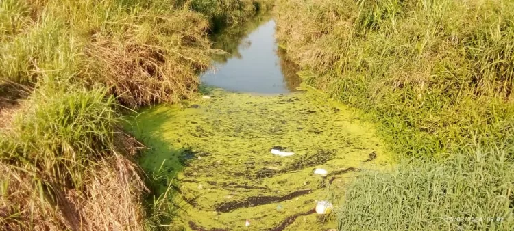 Falta canalización de caño