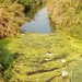 Falta canalización de caño