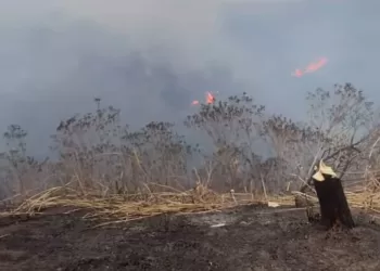 incendios Yaracuy
