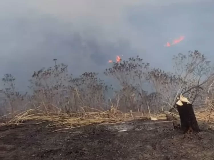 incendios Yaracuy