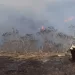 incendios Yaracuy