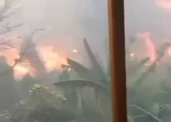 bomberos