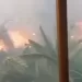 bomberos