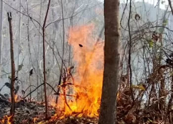 incendios de cerros