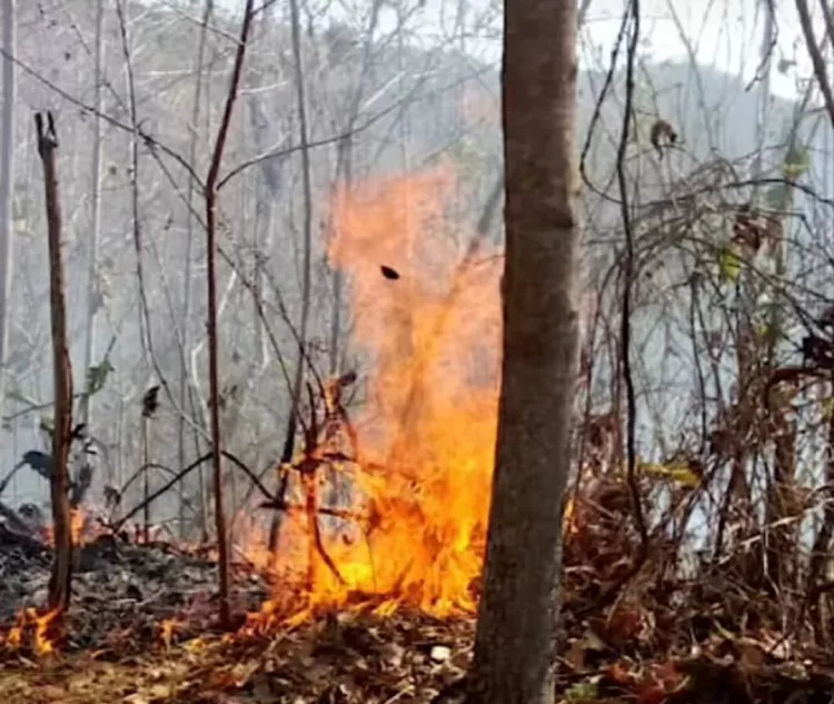 incendios de cerros