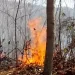 incendios de cerros