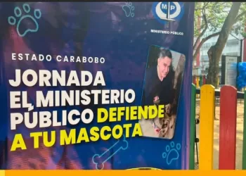 mascota