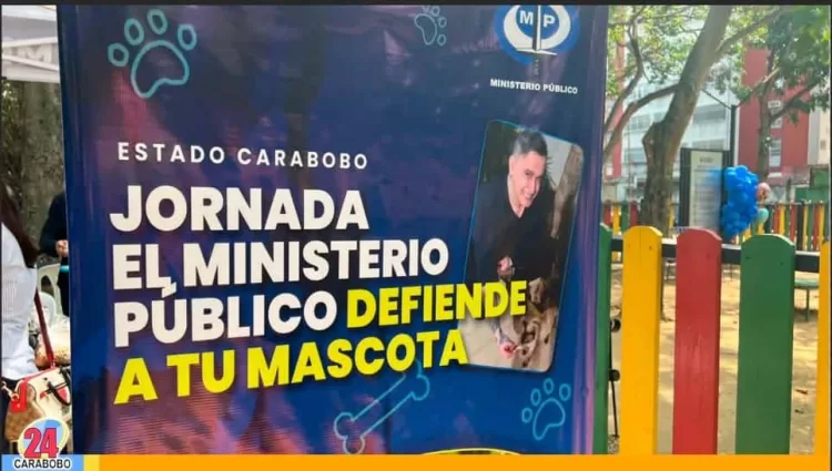 mascota