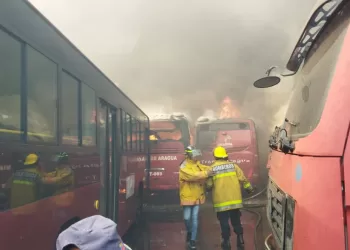 transaragua