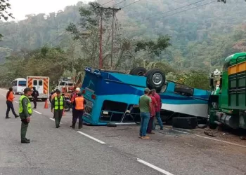 autobús y gandola