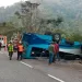 autobús y gandola