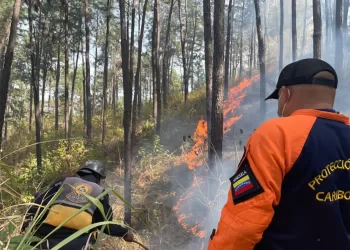 combatir incendios forestales
