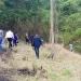 Tocuyito