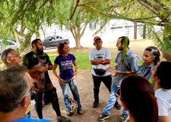 reforestación en Carabobo