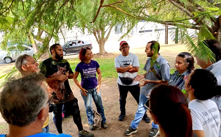 reforestación en Carabobo