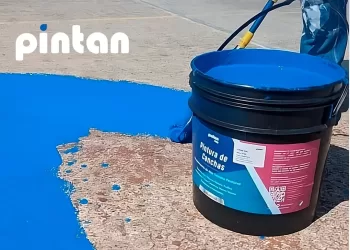 Pinturas Pintan