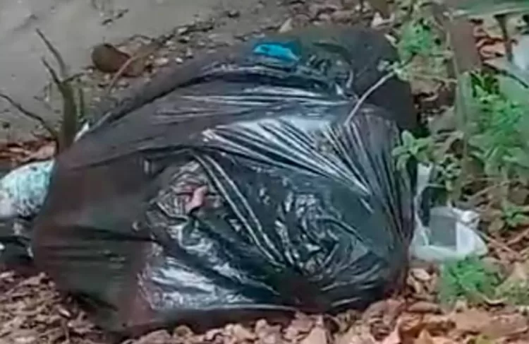 localizado cadáver