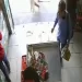 amplio prontuario