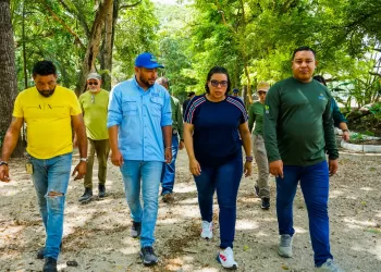 Jardín