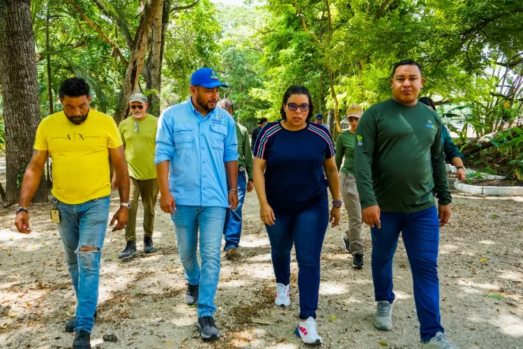Jardín