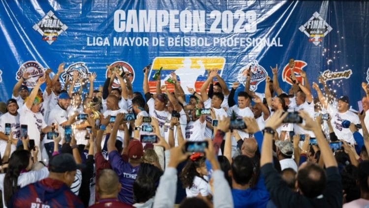 Liga Mayor