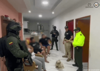 falsificaba documentos