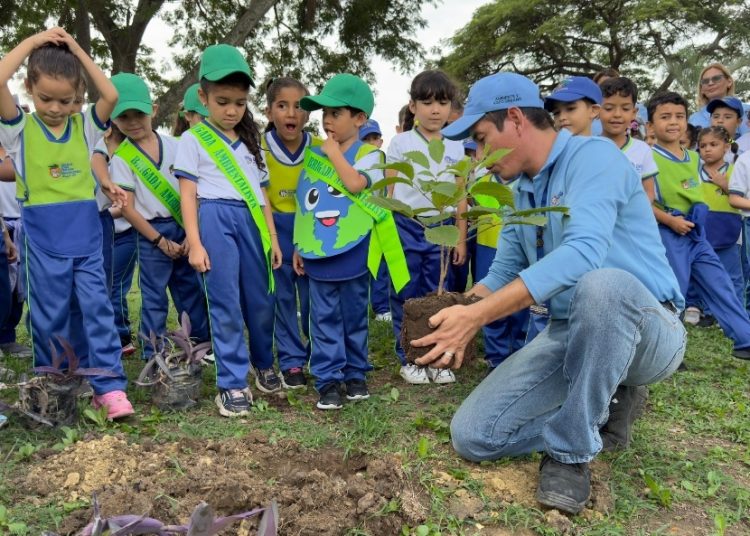 jornada de arborización