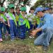 jornada de arborización