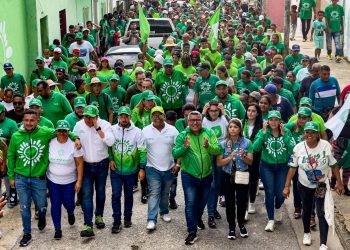 Partido Verde de Venezuela
