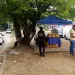 omerciantes informales