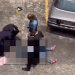 Reportan persona fallecida tras caer de edificio en Trigal Centro, Valencia