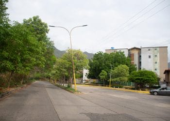 Colectora 11