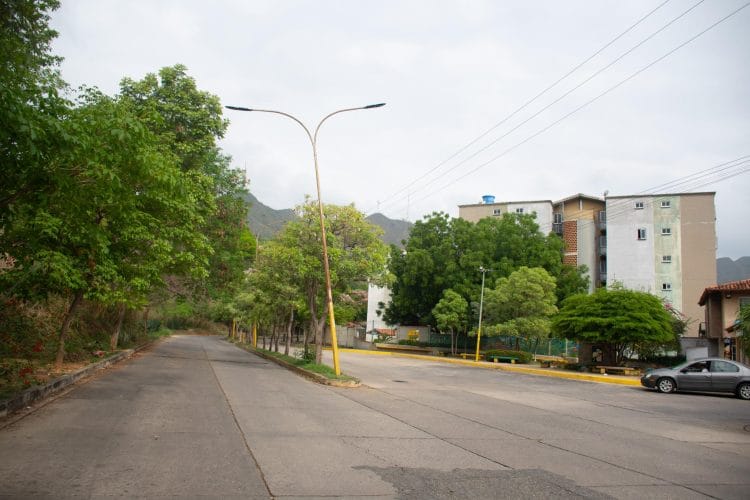 Colectora 11