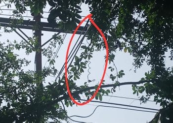 servicio eléctrico